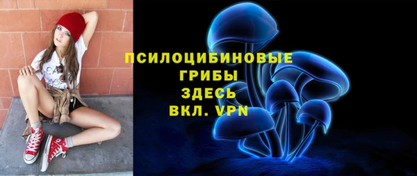 амф Осинники