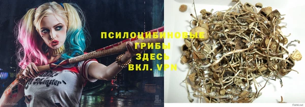 амф Осинники