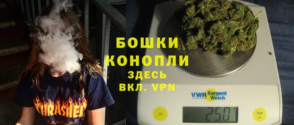 сатива Пестово
