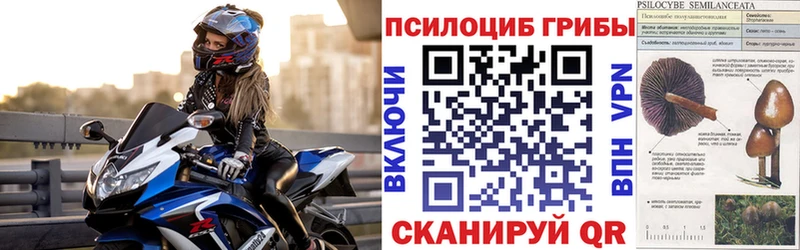 Купить закладки  Кимовск  Псилоцибиновые грибы Magic Shrooms 